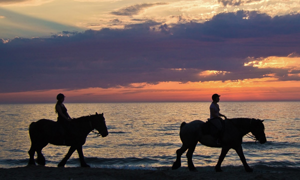 Horse Riding
